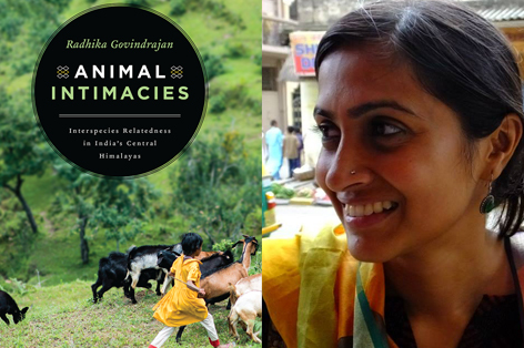 Dr Radhika Govindrajan and the cover of her prize winning book, Animal Intimacies.